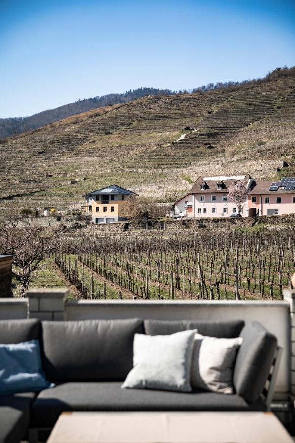 Appartement Weingut Donabaum "In Der Spitz" à Spitz an der Donau Extérieur photo