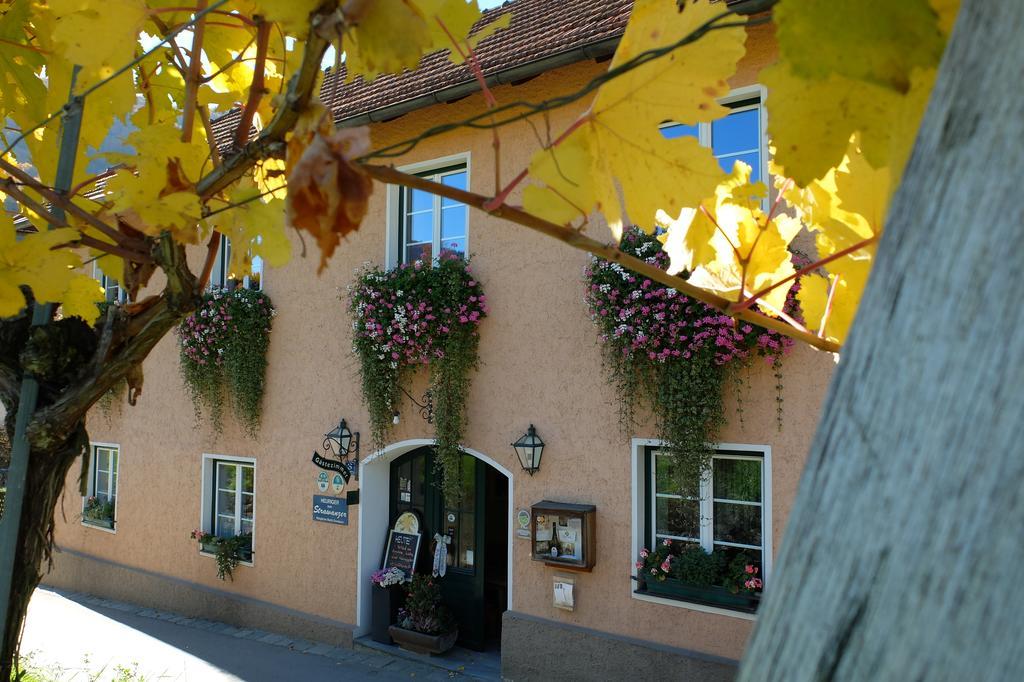 Appartement Weingut Donabaum "In Der Spitz" à Spitz an der Donau Extérieur photo