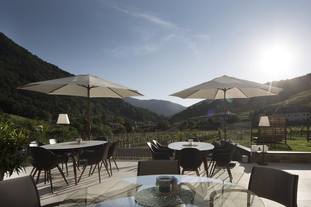 Appartement Weingut Donabaum "In Der Spitz" à Spitz an der Donau Extérieur photo