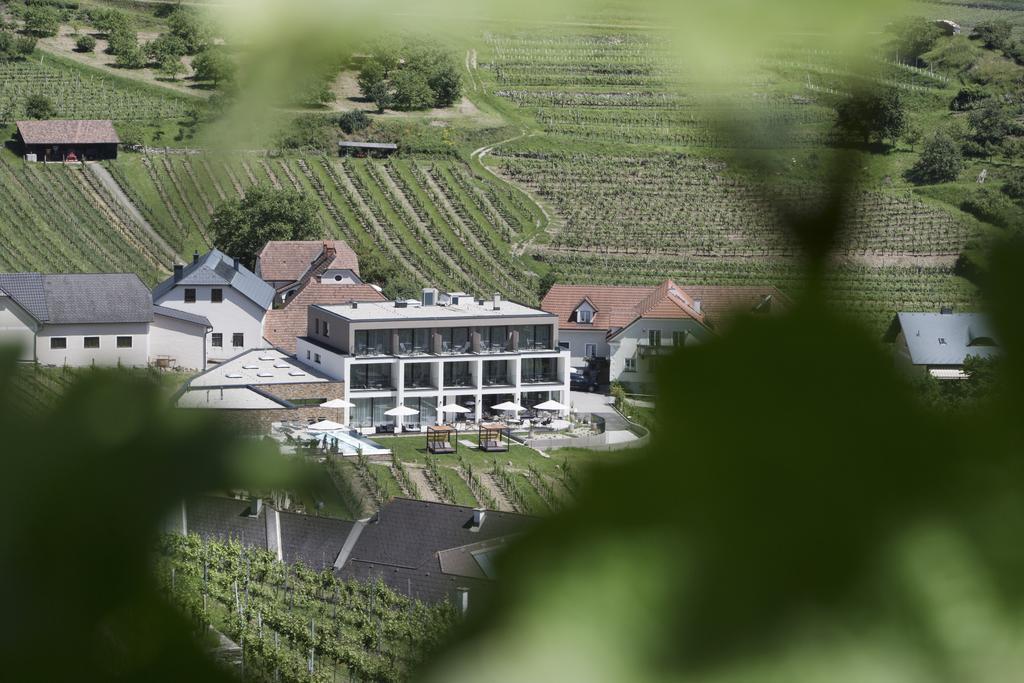 Appartement Weingut Donabaum "In Der Spitz" à Spitz an der Donau Extérieur photo