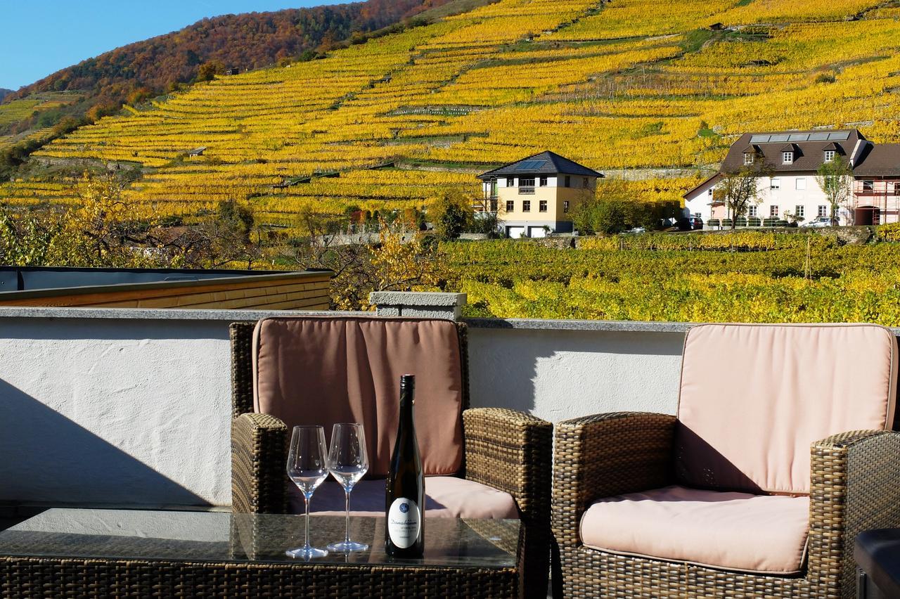 Appartement Weingut Donabaum "In Der Spitz" à Spitz an der Donau Extérieur photo