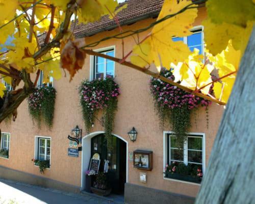 Appartement Weingut Donabaum "In Der Spitz" à Spitz an der Donau Extérieur photo